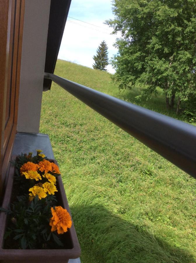 Apartman Odolov Jestrebi Hory Male Svatonovice Bagian luar foto